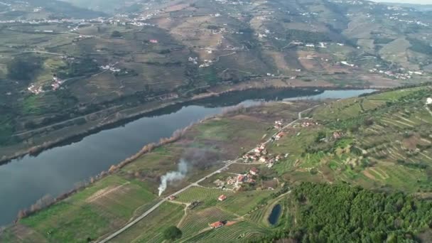 Uitzicht Vanuit Lucht Terrasvormige Wijngaarden Vallei Van Douro Rivier Portugal — Stockvideo