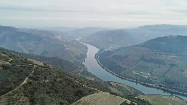 Vista Aérea Los Viñedos Terrazas Valle Del Río Duero Portugal — Vídeos de Stock