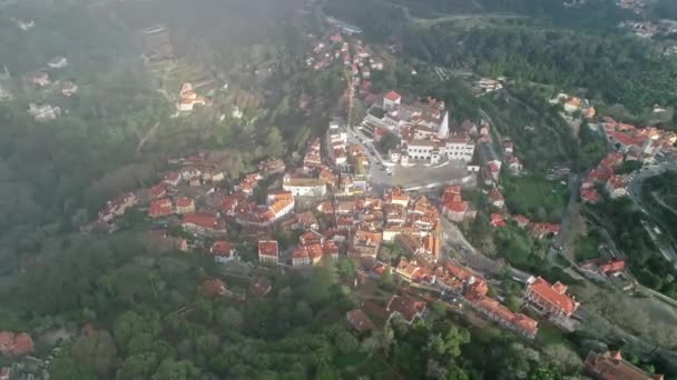 Sintra镇和Sintra国家宫四周的空中景观 葡萄牙 — 图库视频影像