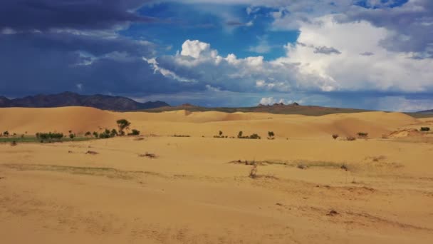 Aerial View Sand Dunes Elsen Tasarhai Bayan Gobi Mongolia — Stock Video