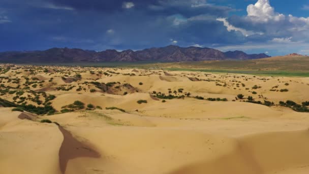 Vue Aérienne Des Dunes Sable Elsen Tasarhai Bayan Gobi Mongolie — Video