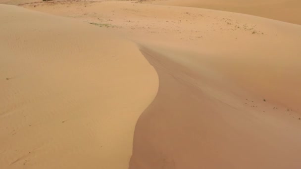 Aerial Top View Sand Dunes Gobi Desert Windy Weather Mongolia — Stock Video