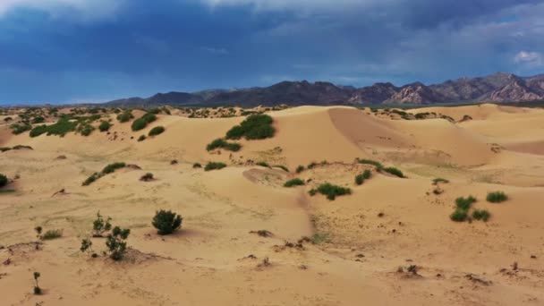 蒙古Elsen Tasarhai Bayan Gobi 沙丘的空中景观 — 图库视频影像