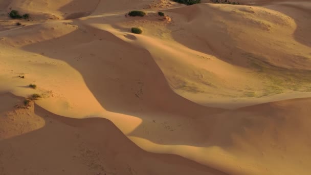 Luftaufnahme Auf Sanddünen Der Wüste Gobi Bei Sonnenuntergang Mongolei — Stockvideo