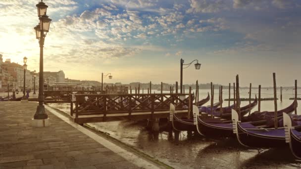 Traditionelle Gondeln Auf Canal Grande San Marco Venedig Italien — Stockvideo