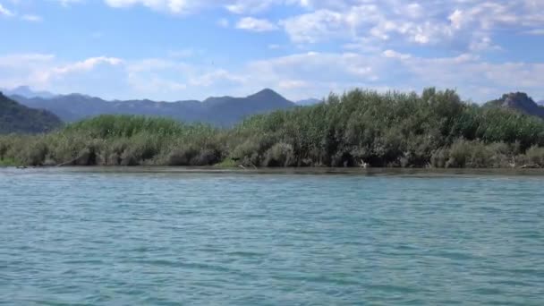 Utsikt Från Rörlig Båt Den Berömda Sjön Skadar Montenegro — Stockvideo