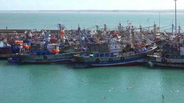 Barcos Pesca Yates Puerto Ciudad Jadida Marruecos África — Vídeos de Stock
