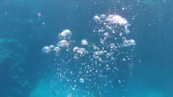 Air bubbles under water — Stock Video