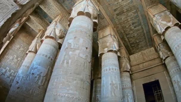 Ancient Egyptian temple in Dendera — Stock Video