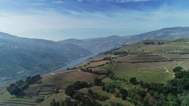 Uitzicht Vanuit Lucht Terrasvormige Wijngaarden Vallei Van Douro Rivier Portugal — Stockvideo