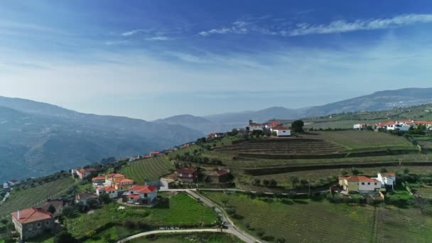 Vista Aérea Los Viñedos Terrazas Valle Del Río Duero Portugal — Vídeos de Stock