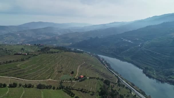 ドゥーロ川渓谷 ポルトガル 4Kの段々畑の空中パノラマビュー — ストック動画
