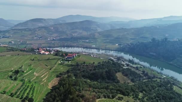 Uitzicht Vanuit Lucht Terrasvormige Wijngaarden Vallei Van Douro Rivier Portugal — Stockvideo