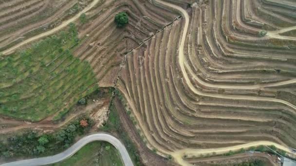 Flygfoto Över Terrasserade Vingårdar Dourodalen Portugal Lutningsvy — Stockvideo