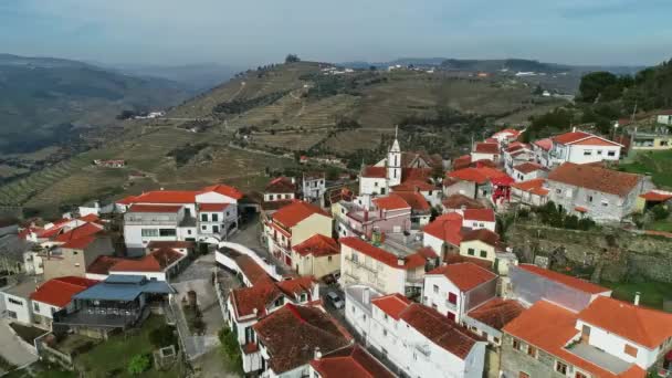 Flygfoto Över Staden Och Terrasserade Vingårdar Dourodalen Portugal — Stockvideo
