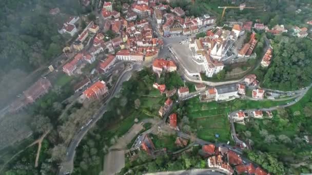 Sintra镇和Sintra国家宫的空中景观 葡萄牙 — 图库视频影像