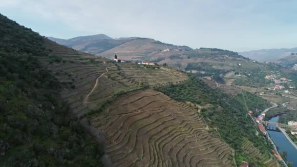 Uitzicht Vanuit Lucht Terrasvormige Wijngaarden Vallei Van Douro Rivier Portugal — Stockvideo