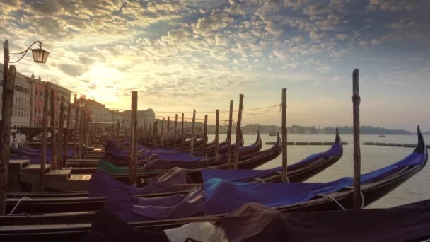 Traditionella Gondoler Canal Grande San Marco Venedig Italien — Stockvideo