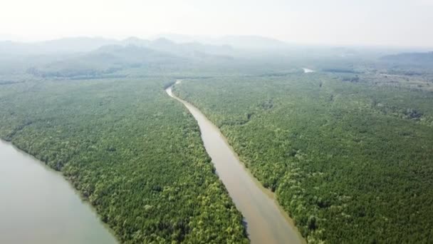 Flygfoto Över Mangrove Skogsflodmynningar Sund Phang Nga Provinsen Thailand — Stockvideo