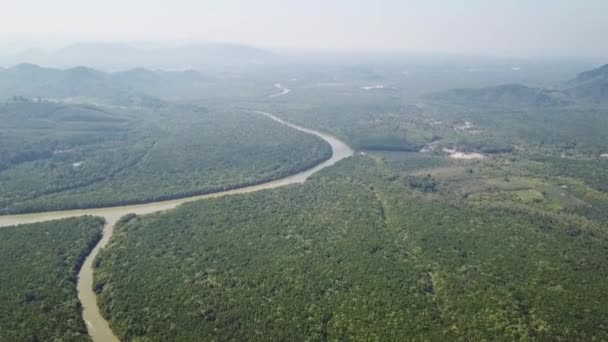 Aerial Top View Mangrove Forest Estuaries Strait Phang Nga Province — Αρχείο Βίντεο