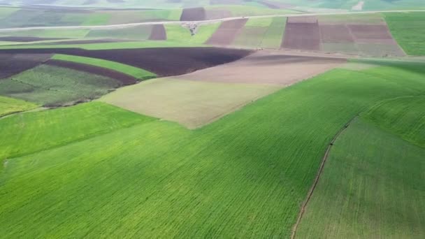 Bovenaanzicht Vanuit Lucht Heuvelachtige Landbouwvelden Marokko Afrika — Stockvideo