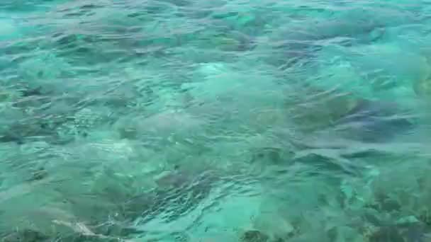 Fondo Superficie Dell Acqua Marina Turchese Tropicale — Video Stock