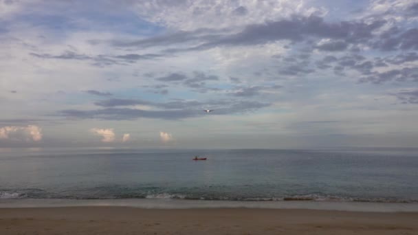 Passenger Airplane Landing Tropical Beach Morning — Stock Video