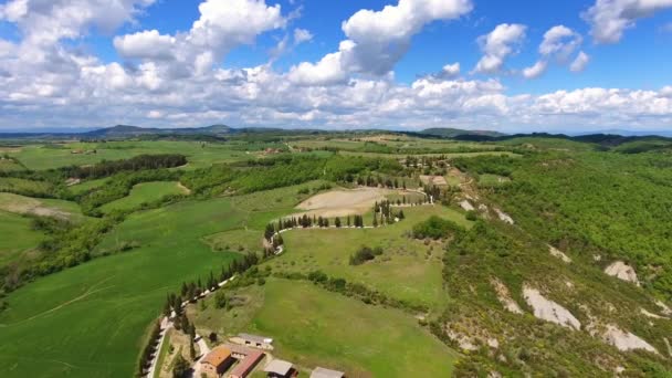 Paisaje Aéreo Toscano Con Carretera Cipreses Tierras Cultivo Montaña Italia — Vídeo de stock