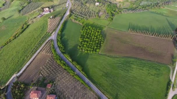 Τοσκάνη Υπέργειες Γεωργικές Εκτάσεις Τοπίο Λόφο Πρωί Ιταλία Ευρώπη — Αρχείο Βίντεο