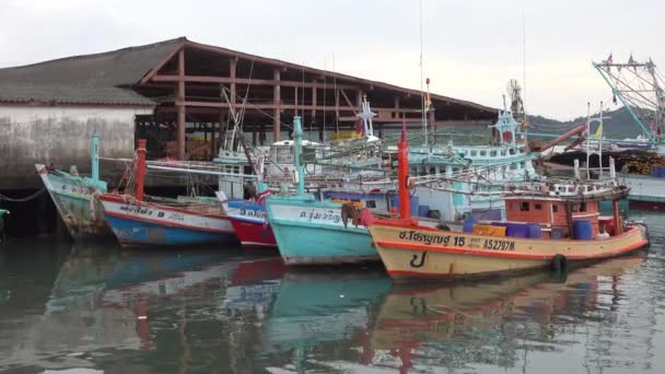 Fishing Boats Parked Pier Thailand — Stock Video