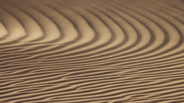 Sand Som Blåser Över Sanddyner Vind Saharaöknen — Stockvideo