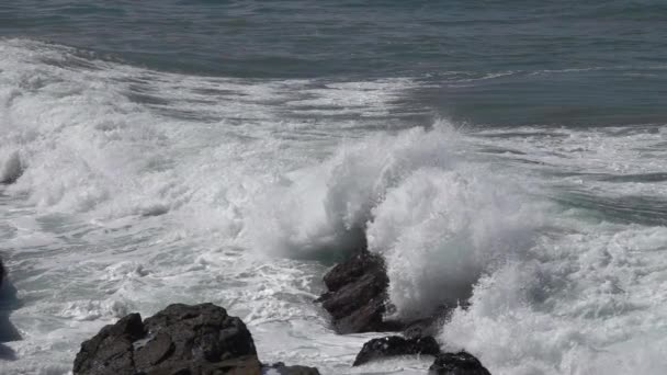 Stor Stormig Ocean Våg Slow Motion — Stockvideo