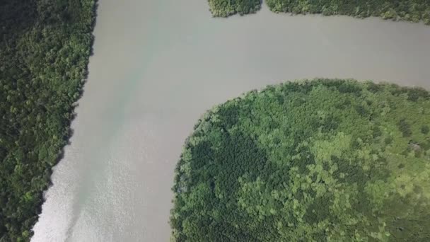 Vista Aérea Floresta Árvores Rio Mangue Tailândia — Vídeo de Stock