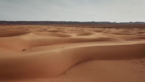 Luchtfoto Zandduinen Sahara Woestijn Afrika — Stockvideo