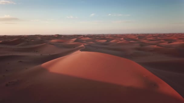 Vista Aérea Dunas Arena Cuervos Negros Voladores Desierto Del Sahara — Vídeos de Stock