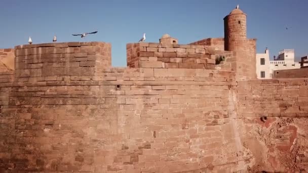 Atlantik Kıyısındaki Ortaçağ Essaouira Kalesinin Üzerinden Uçuyor Fas — Stok video