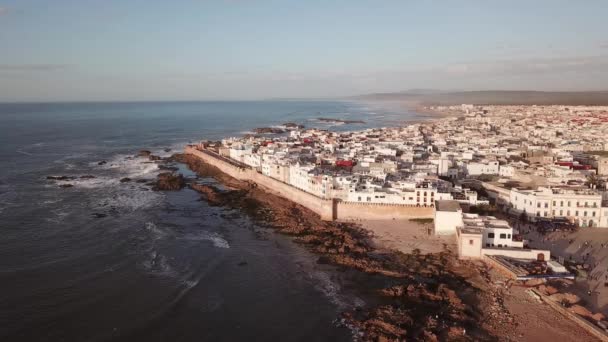 Vista Aérea Gaivotas Sobre Essaouira Cidade Velha Costa Atlântica Marrocos — Vídeo de Stock