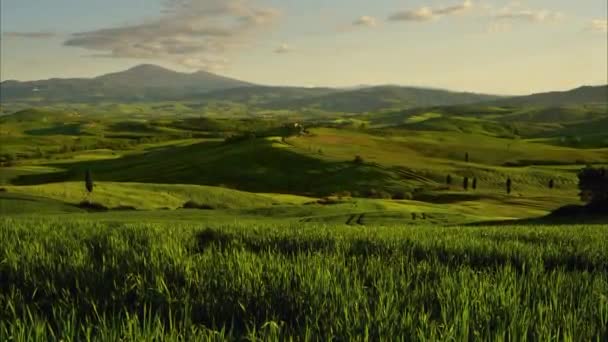 Τοσκάνη Τοπίο Στο Ηλιοβασίλεμα Αγροικία Και Λόφους Αμπελώνας Ιταλία Zoom — Αρχείο Βίντεο