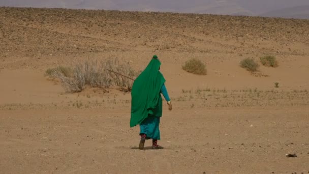 Mujer Nómada Traje Tradicional Caminando Por Desierto Del Sahara Marruecos — Vídeos de Stock