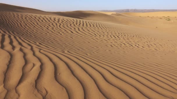Arena Que Sopla Sobre Dunas Arena Viento Desierto Del Sahara — Vídeo de stock