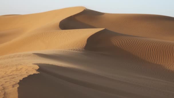 Arena Que Sopla Sobre Dunas Arena Viento Desierto Del Sahara — Vídeos de Stock