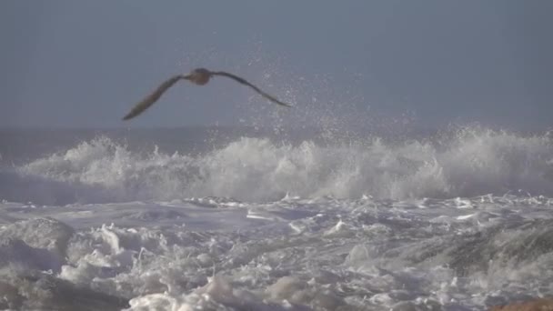 Πιτσιλιές Από Τον Ατλαντικό Ωκεανό Μεγάλα Κύματα Πάνω Από Γκρεμούς — Αρχείο Βίντεο