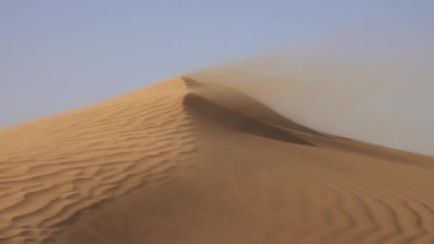 Piasek Wiejący Nad Wydmami Wietrze Sahara Pustynia — Wideo stockowe