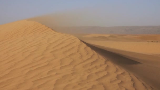 Sand Som Blåser Över Sanddyner Vind Saharaöknen — Stockvideo