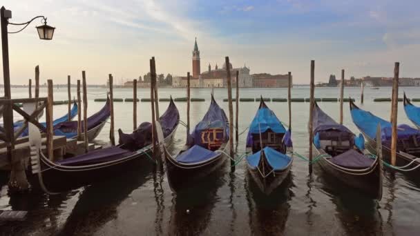 Traditional Gondolas Canal Grande San Giorgio Maggiore Church Background Morning — Stock Video