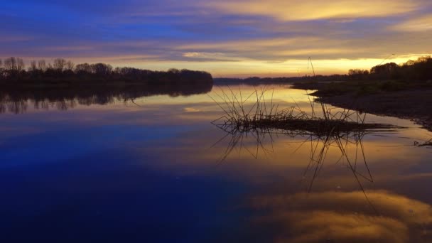 Красивий Ранковий Річковий Пейзаж Світанку — стокове відео