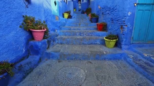 Tradicional Antigua Calle Azul Con Macetas Color Dentro Medina Chefchaouen — Vídeo de stock