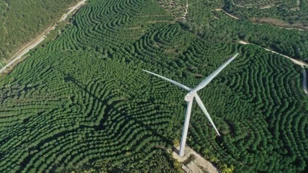 Luchtfoto Van Windmolen Windturbine Windmolenpark Rotatie Elektriciteit Wekken — Stockvideo