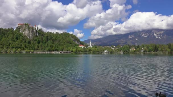 Lago Bled Blejsko Jezero Paisaje Eslovenia Europa — Vídeo de stock