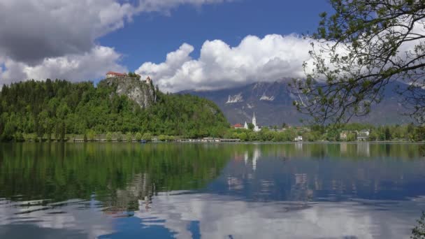 Krajobraz Jeziora Blejsko Jezero Słowenii Europa — Wideo stockowe